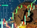 Panduan Investasi Crypto
