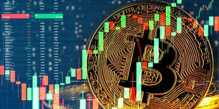 Panduan Investasi Crypto